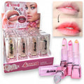 LABIAL LIPSTICK PH MAGICO RAYMAR MG-11327
