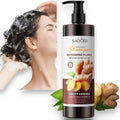SHAMPOO CONTROL CASPA Y PREVENCION DE CAIDA DE CABELLO GINGER 500ML SADOER SD10971