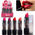 LABIAL EN BARRA CLASICO HIDRATACIÓN BRILLANTE RAYMAR MG-6316